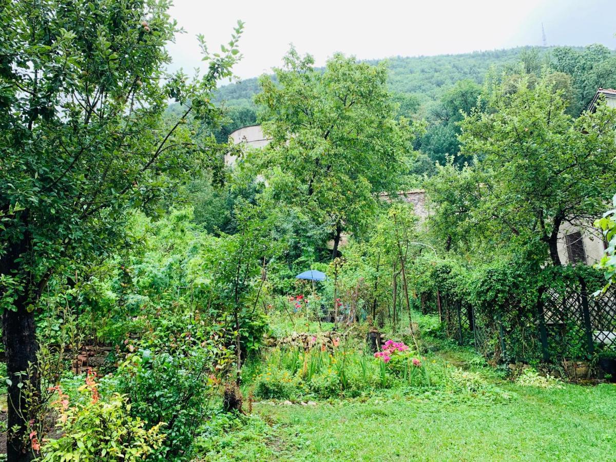 Maan Central Apartment Pet Friendly Location Braşov Dış mekan fotoğraf
